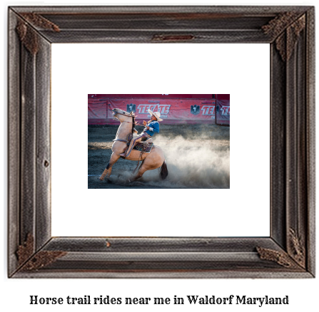 horse trail rides near me in Waldorf, Maryland